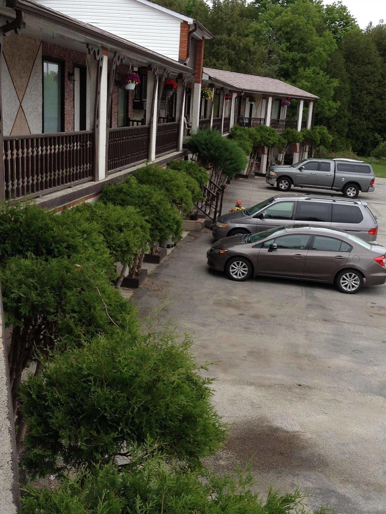 Cedar Springs Motel Acton Buitenkant foto